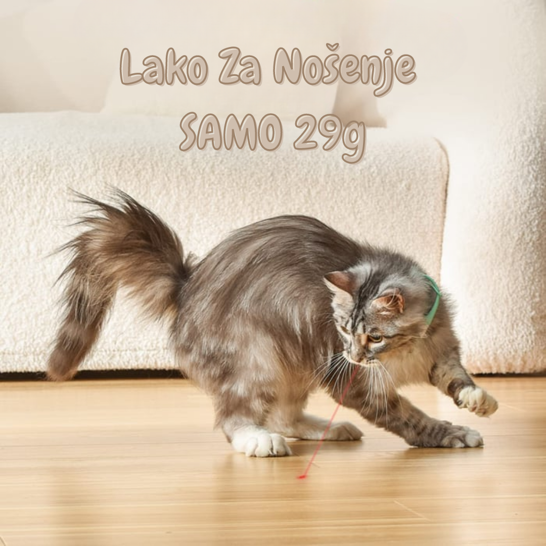 Laser Ogrlica Igračka za Mačke