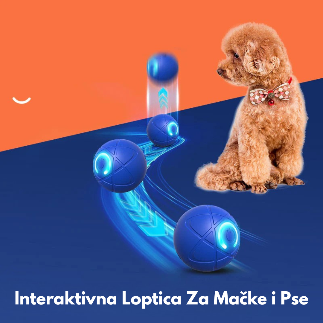 Interaktivna Loptica za Kućne Ljubimce