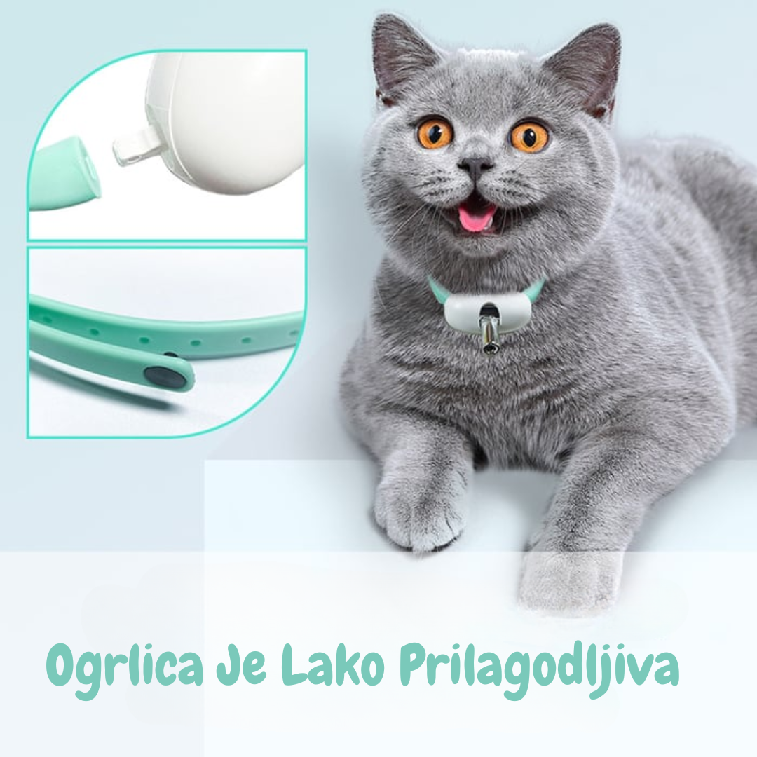 Laser Ogrlica Igračka za Mačke