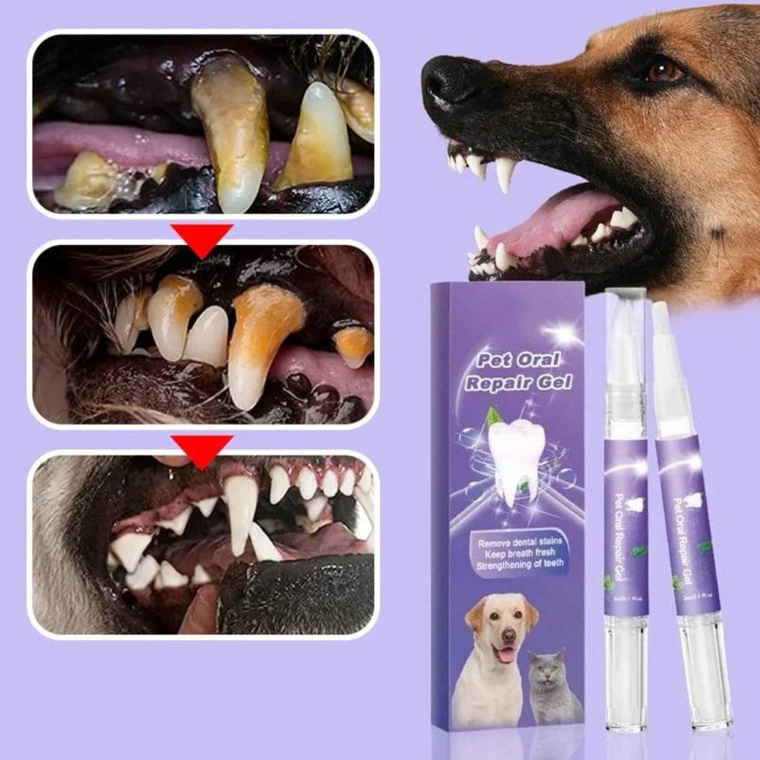 Gel za Oralni Oporavak Kućnih Ljubimaca (1+1 GRATIS)
