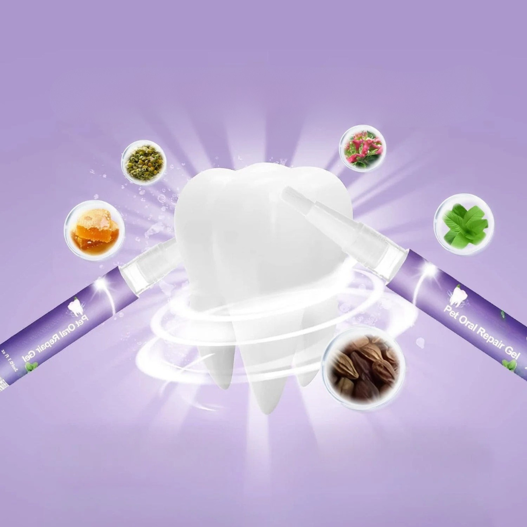 Gel za Oralni Oporavak Kućnih Ljubimaca (1+1 GRATIS)