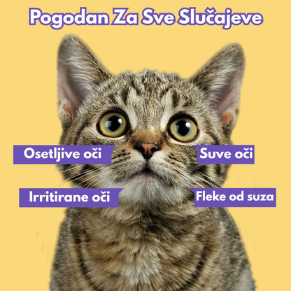 Maramice za Oči za Kućne Ljubimce (Set od 100 Komada)