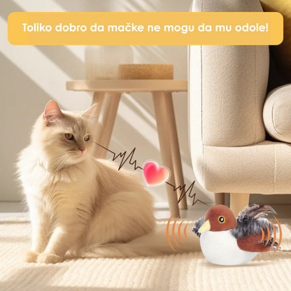 Interaktivna Igračka Ptica za Mačke