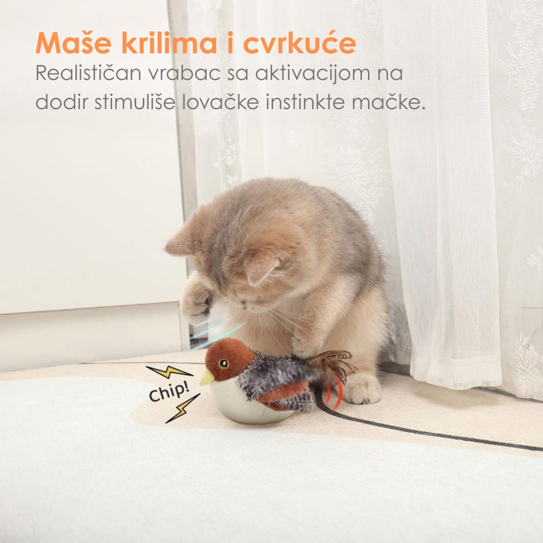 Interaktivna Igračka Ptica za Mačke