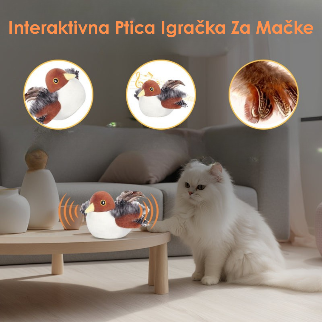Interaktivna Igračka Ptica za Mačke