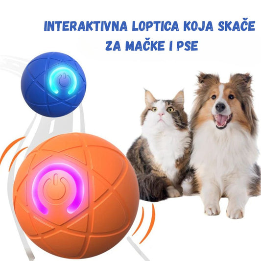 Interaktivna Loptica za Kućne Ljubimce